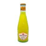 san-pellegrino-Aranciata-BIO-vorne